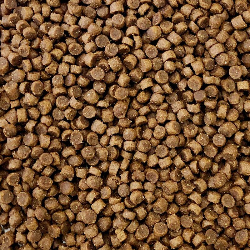 premium egelvoer hoog aandeel vlees - vogelvoerkopen.nl