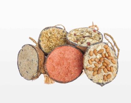 Halve gevulde kokosnoot – Mix Pakket Groot