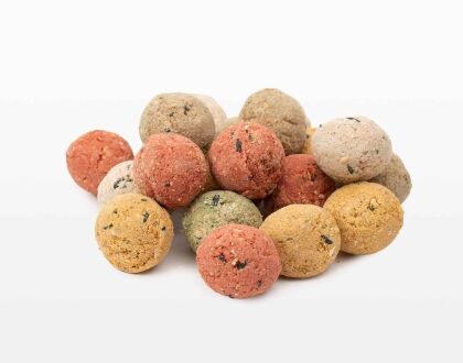 vetbollen premium vogelvoer