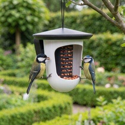 Mezen eten uit de Multi Feedr vogelvoerhouder