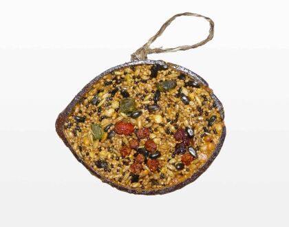 Cocosnoot+zaden+fruit