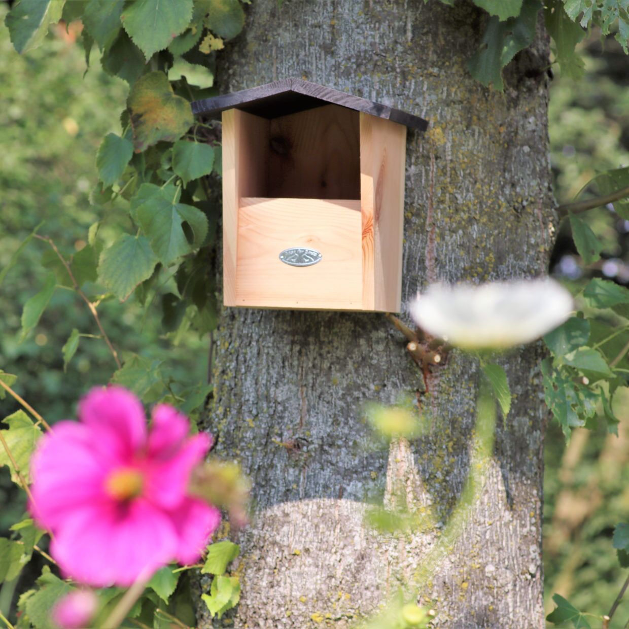 Houten nestkast roodborst aan boom met bloemen op voorgrond