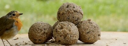 Vetbollen Premium Granola zonder net - Afbeelding 3