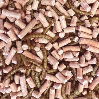 Premium Vetpellets bessen traktatie met gedroogde meelwormen