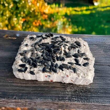 Vetblok met zonnebloempitten op houten balk.