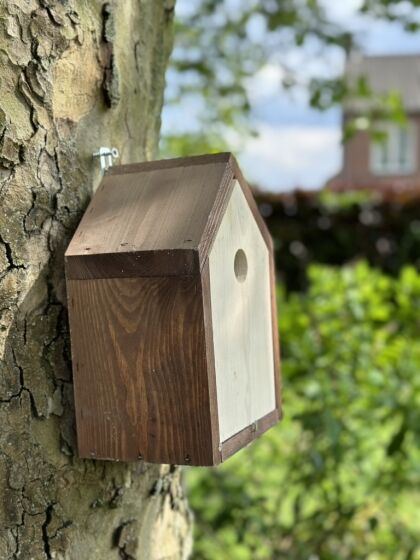 Nestkast Nutan, FSC® gecertificeerd, geschikt voor kleine vogels zoals mezen