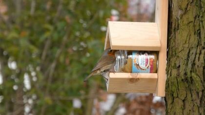 Vogelvriendelijke tuin