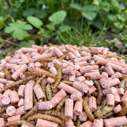 Close-up van bessen vetpellets met gedroogde meelwormen