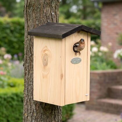 Vink bij Nestkast Pim voor pimpelmezen