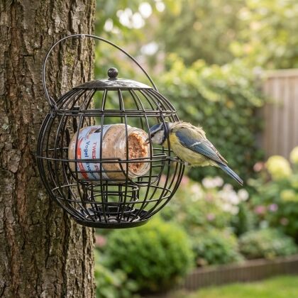 Pimpelmees eet vogelpindakaas uit pothouder Iris