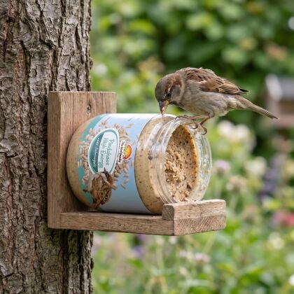 Huismus eet Vogelpindakaas High Energy uit pot in houder